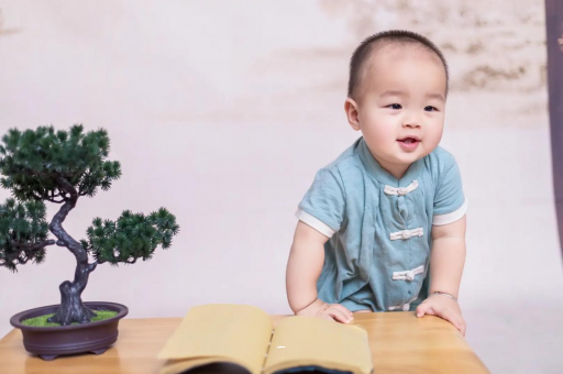 湘西可爱的企鹅宝宝